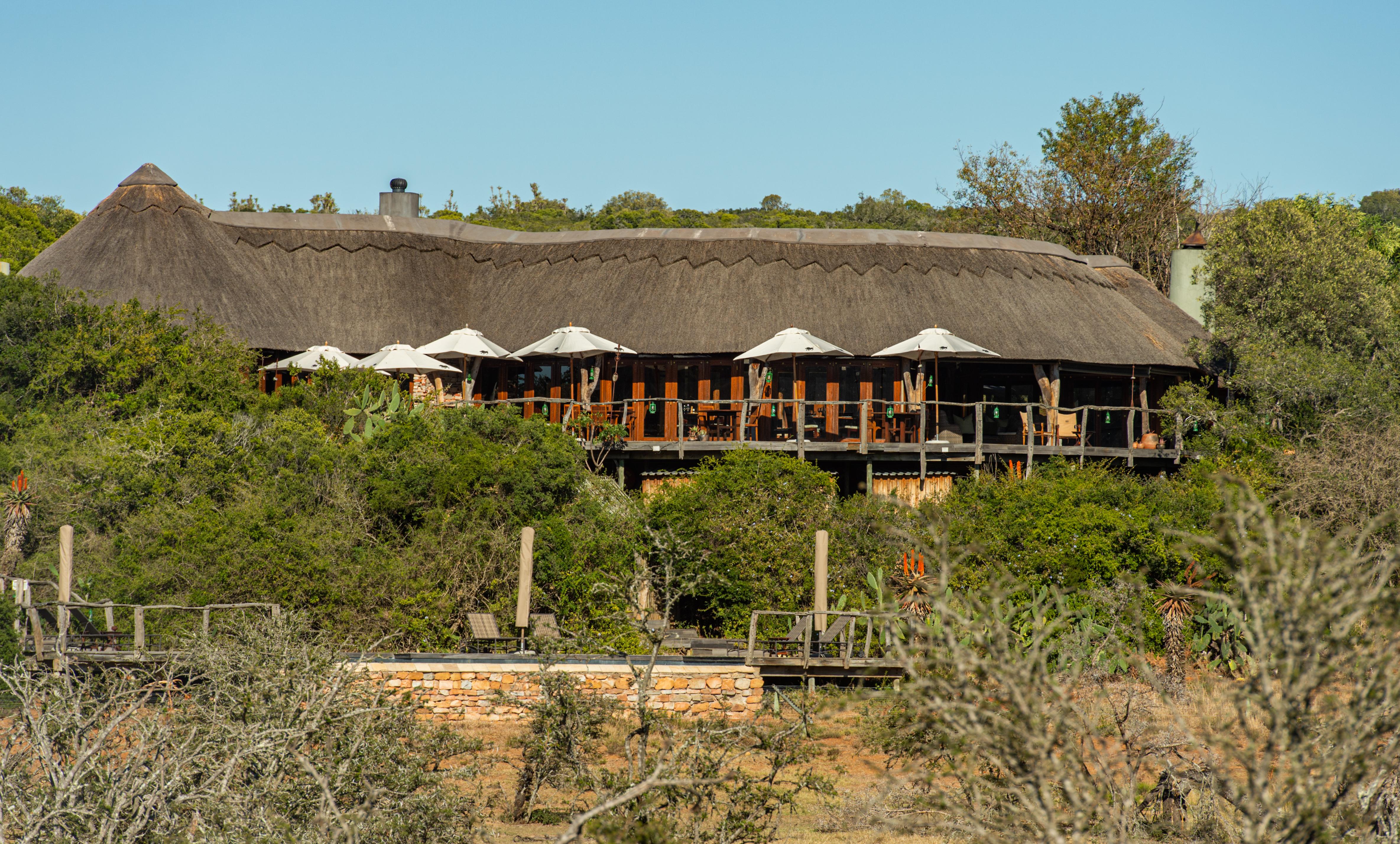 פורט אליזבת' Pumba Private Game Reserve מראה חיצוני תמונה