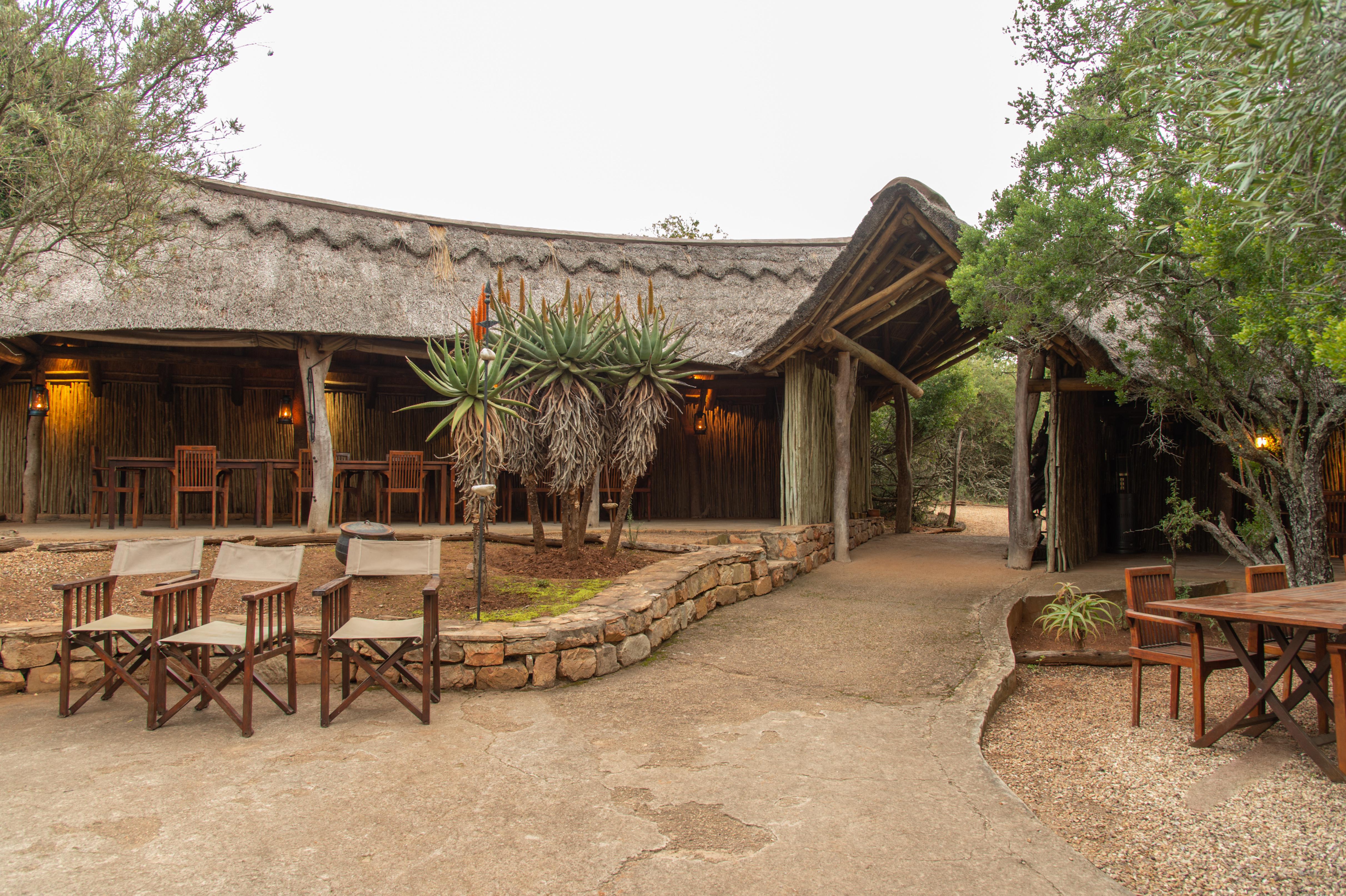 פורט אליזבת' Pumba Private Game Reserve מראה חיצוני תמונה